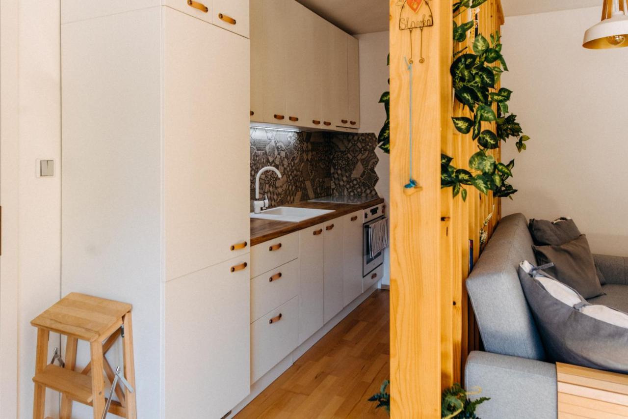 Apartman V Srdci Znojma „Jako Doma“ Зноймо Экстерьер фото